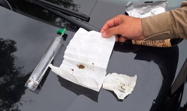 PMRv apreende drogas e prende suspeito