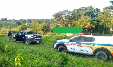 Gado apreendido no dia 8 de janeiro