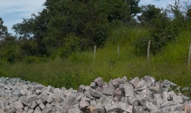 NO MEIO DO CAMINHO  TINHA UMA PEDRA...