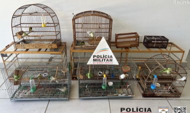 Passarinheiro é autuado no Bairro Parque Jardim