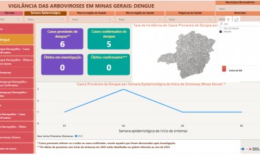 Vacinação em massa contra dengue não ocorrerá em 2025