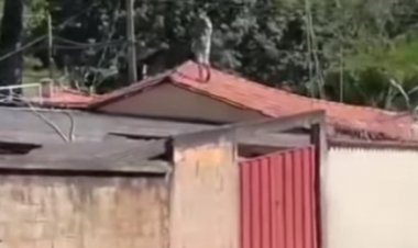 Homem sobe  no telhado e  atira pedras