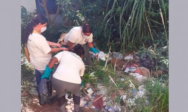 DENGUE - Mortes aumentaram 44% em um final de semana