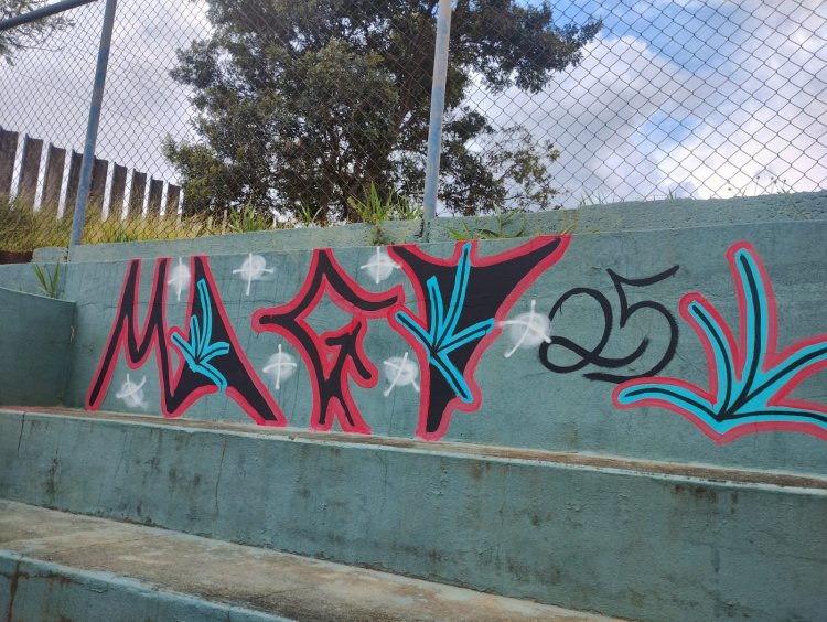 Quatro pichadores são presos