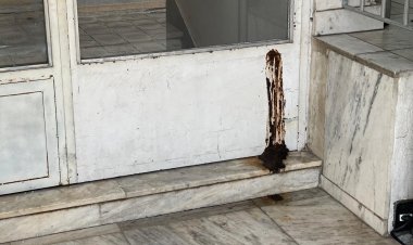 Nojeira, falta de  respeito e de atitudes!