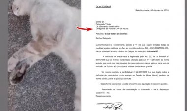 Vereadora denúncia maus-tratos a animais no Bairro Graças