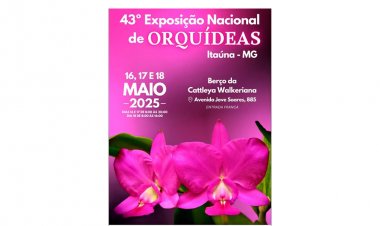 Orquídeas de Itaúna e região  estarão à mostra no final de semana