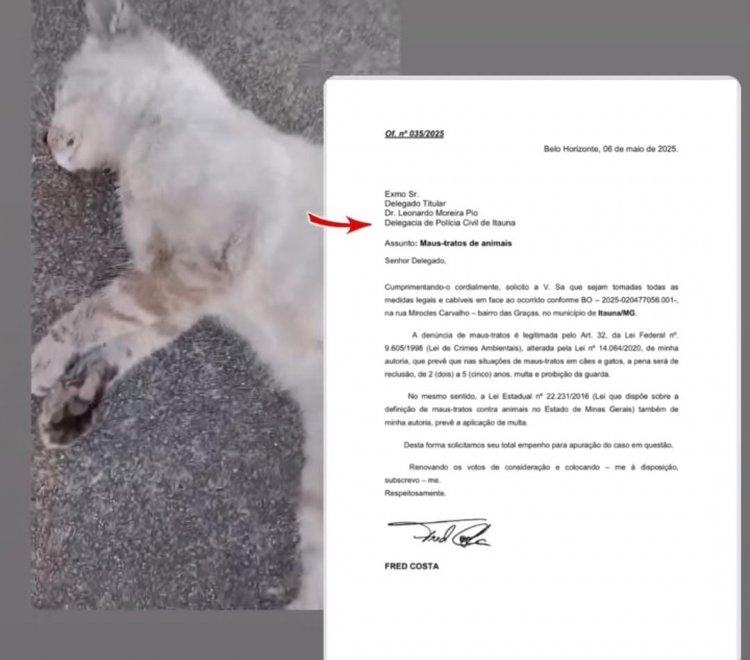 Vereadora denúncia maus-tratos a animais no Bairro Graças