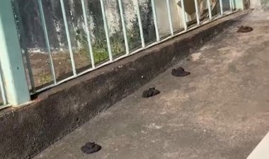 Moradores de rua defecam em passeio no Centro da cidade