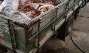 Abatedouro Clandestino de Aves Interditado em Divinópolis