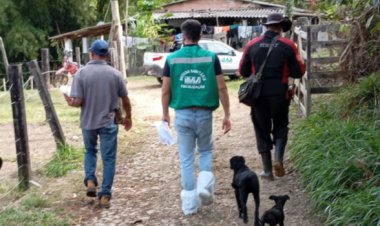 GRIPE AVIÁRIA - IMA conclui inspeção  sanitária em Mateus Leme