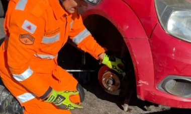 Corpo de Bombeiros resgata gato em motor de carro