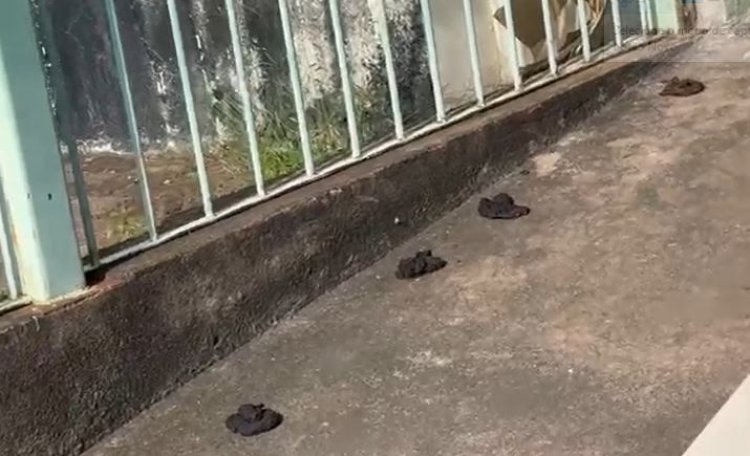 Moradores de rua defecam em passeio no Centro da cidade