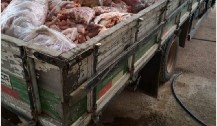 Abatedouro Clandestino de Aves Interditado em Divinópolis