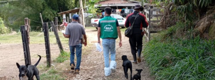 GRIPE AVIÁRIA - IMA conclui inspeção sanitária em Mateus Leme