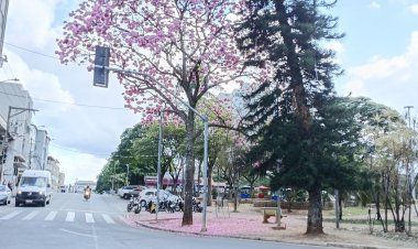 Tropeçando na beleza...