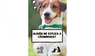 VEM AÍ! - 2 de agosto é dia da “Cãominhada 2025”