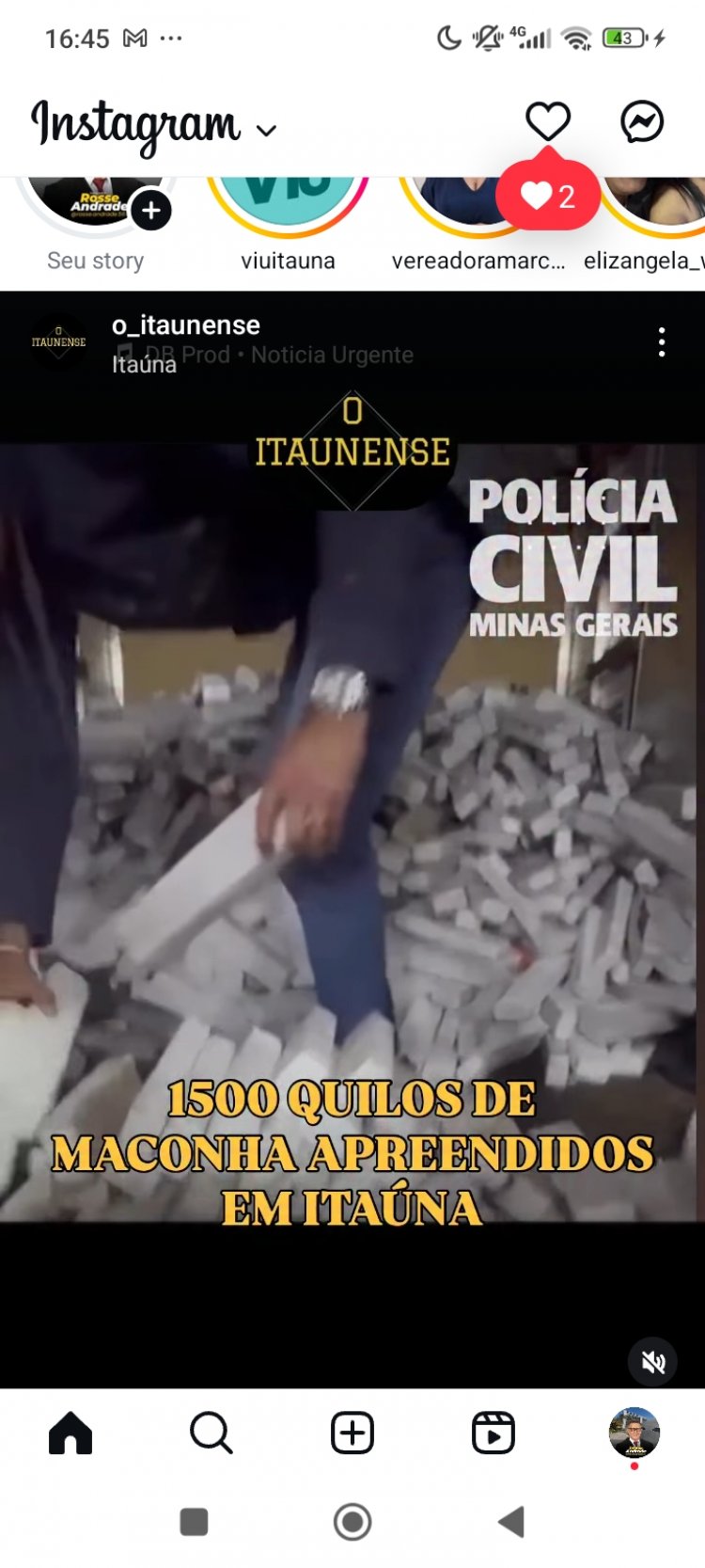 Policia Civil e PRF apreendem 1,5 de maconha em Itaúna