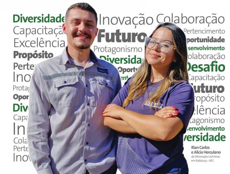 PROGRAMA DE ENTRADA USIMINAS