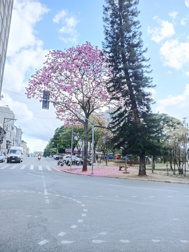 Tropeçando na beleza...