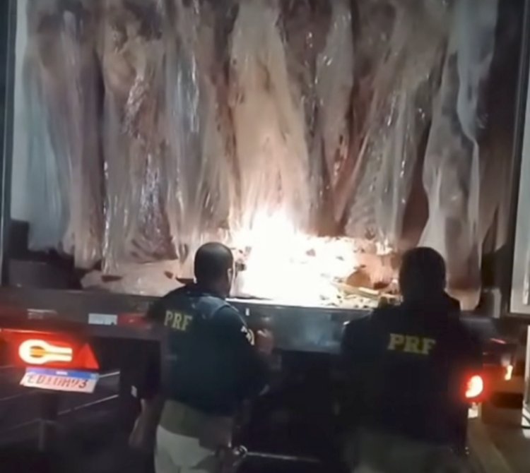 PRF apreende 400 kg de maconha escondidos em carga de carne em Juatuba