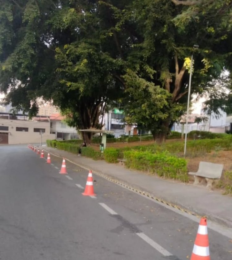 Podas de galhos de árvores serão realizados na Praça João Ferreira