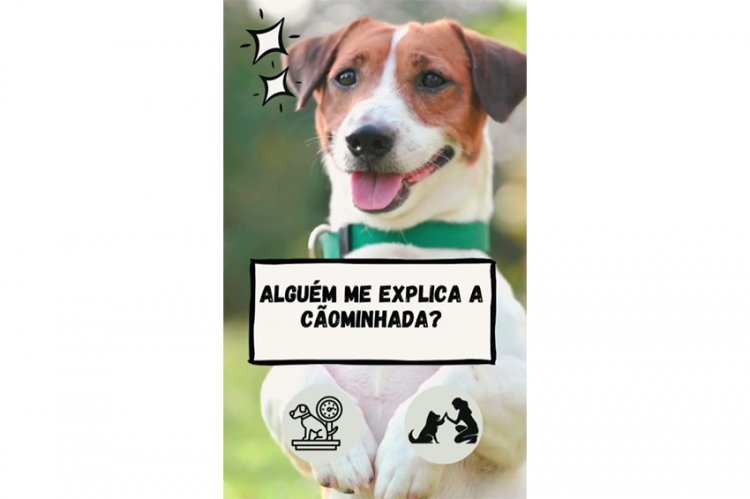 VEM AÍ! - 2 de agosto é dia da “Cãominhada 2025”