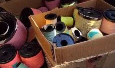 LINHA SEGURA - Operação termina com 25 pessoas detidas