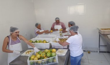 RELATÓRIO DA EMATER - Agricultura familiar em destaque