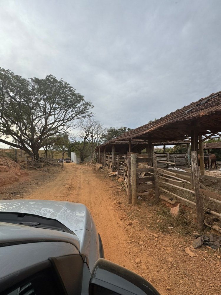 Polícia desmantela fábrica de sabão em pó falso em Dores do Indaiá