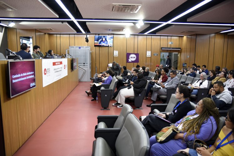 ALMG debate impactos da mineração
