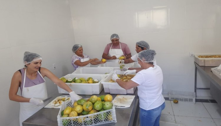RELATÓRIO DA EMATER - Agricultura familiar em destaque