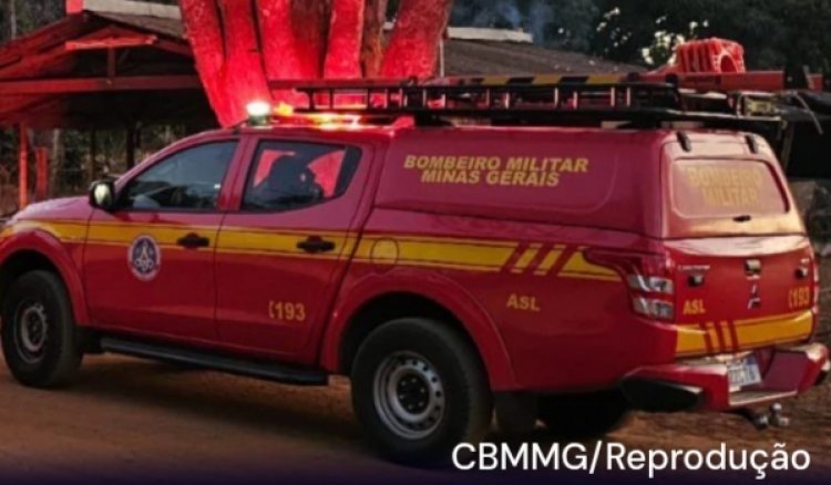 Em Divinópolis, idoso é atacado por abelhas pula na piscina e morre
