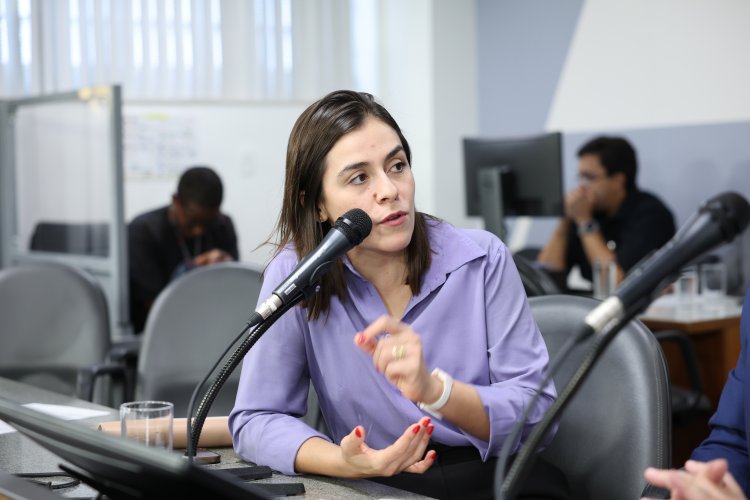 Deputada desmente secretário de Cultura