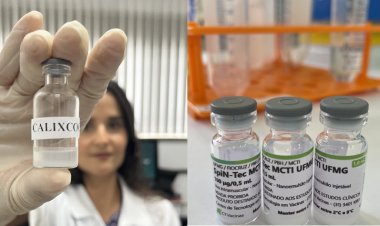 AVANÇO NA CIÊNCIA - Vacina Calixcoca entra em fase de testes em humanos