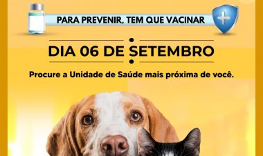 DIA D - Vacinação antirrábica em Itaúna será neste sábado