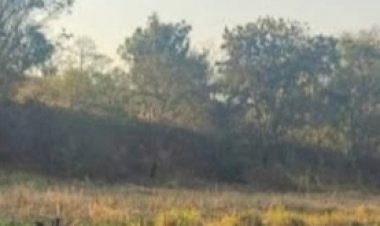 Jovem é preso após fugir da polícia e jogar moto contra agente na MG-431