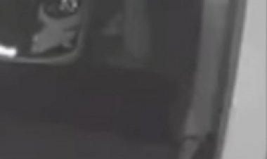 Furto em oficina de Itaúna: ladrão invade estabelecimento e foge com chaves e cofre