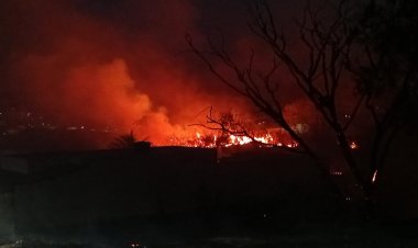 Incêndio atinge área de mata perto do bairro Cidade Nova em Itaúna