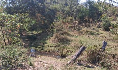 CRIME AMBIENTAL - Lodo de resíduos da Patense incomoda moradores