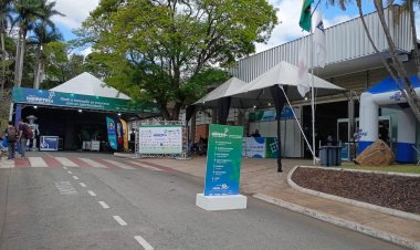 DESENVOLVIMENTO,  EMPREGABILIDADE,  RENDA...