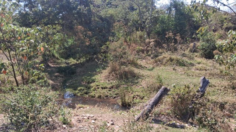 CRIME AMBIENTAL - Lodo de resíduos da Patense incomoda moradores