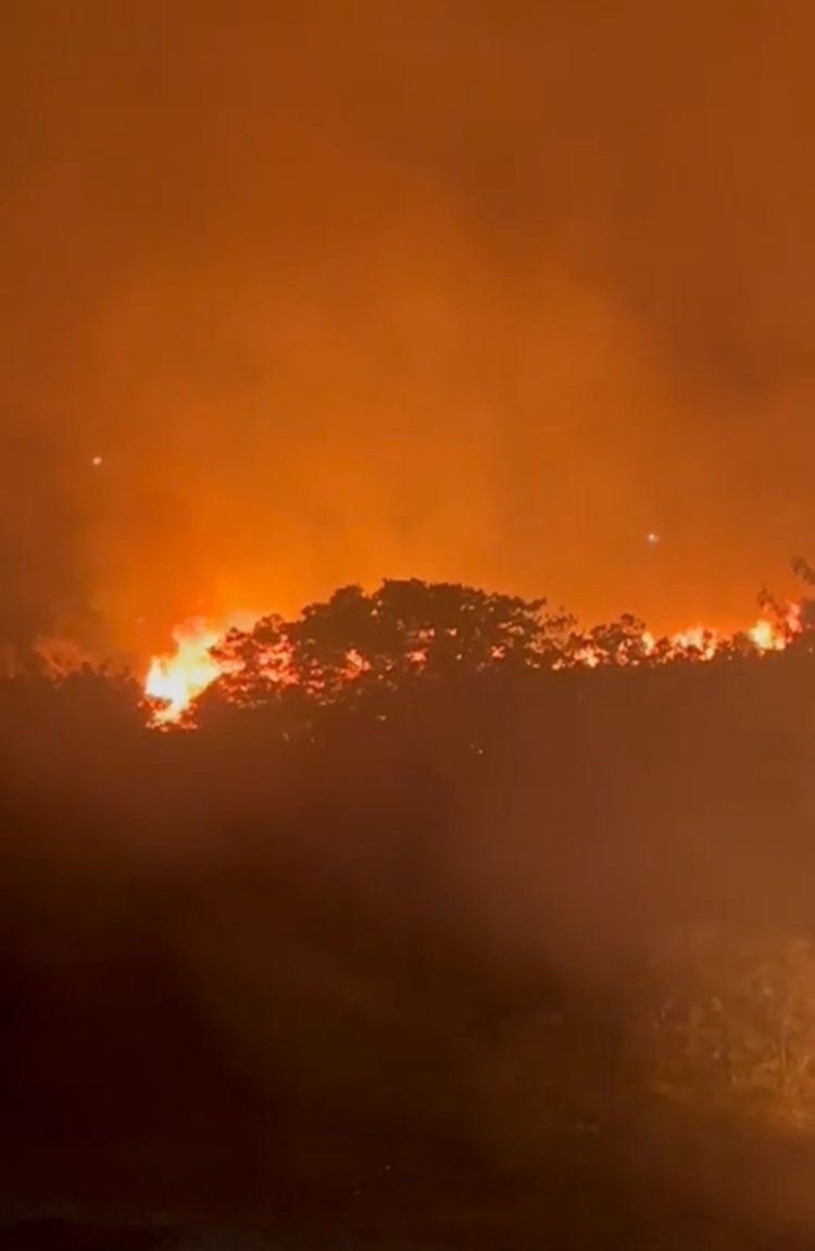 Bombeiros combatem vários focos de incêndio em Itaúna