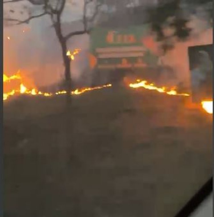 Incêndio de grande proporção consome extensa área próximo a pedágio em Itaúna
