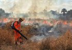 INCÊNDIOS FLORESTAIS - Minas Gerais decreta situação de emergência