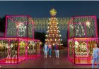LUZES DE NATAL - Acendimento será  no dia 14 de novembro
