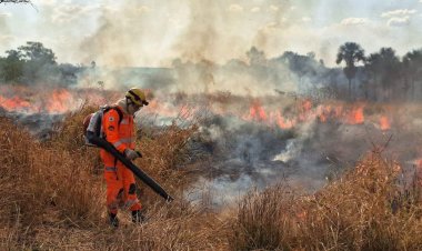 INCÊNDIOS FLORESTAIS - Minas Gerais decreta situação de emergência