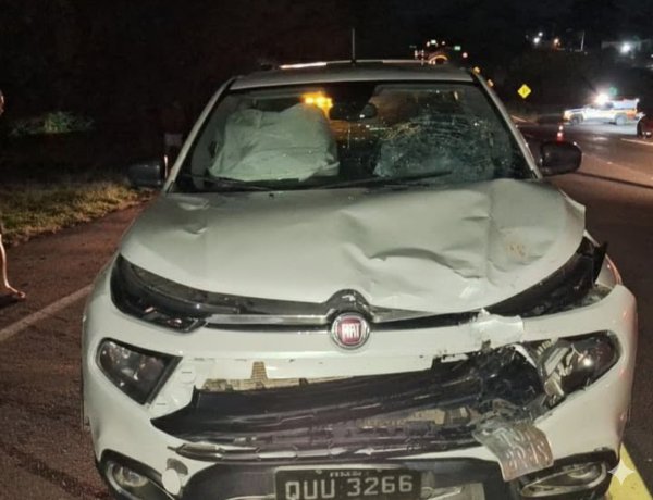 Acidente na MG-050 deixa dois feridos, o motivo seria um porco-espinho