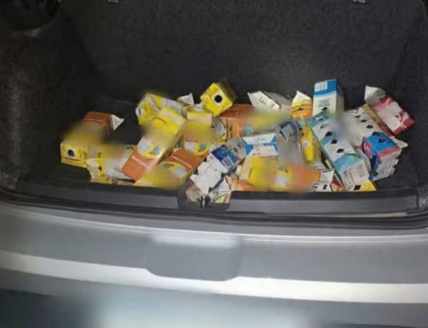 Flagrante em Divinópolis: PRF apreende 32 pássaros silvestres e prende passageiro