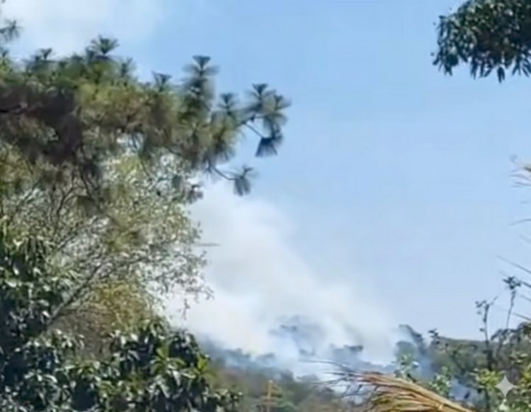 Incêndio atinge comunidade rural de Lopes